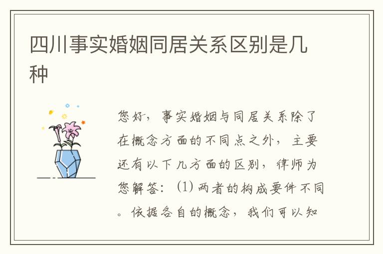 四川事实婚姻同居关系区别是几种