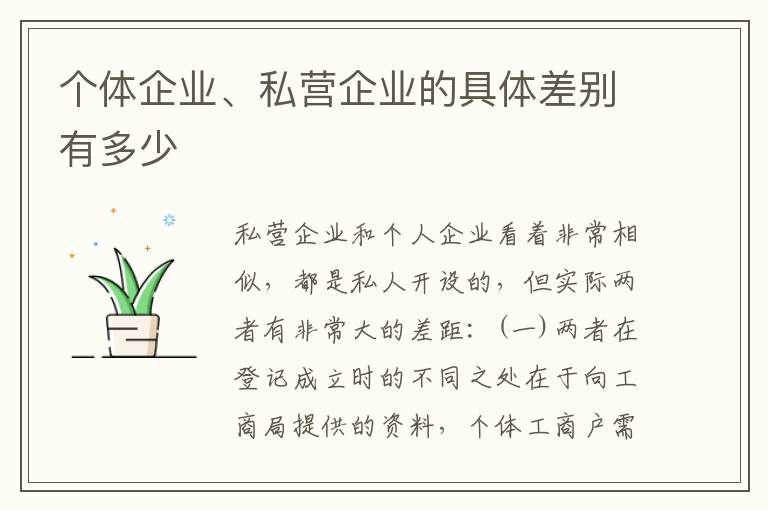 个体企业、私营企业的具体差别有多少