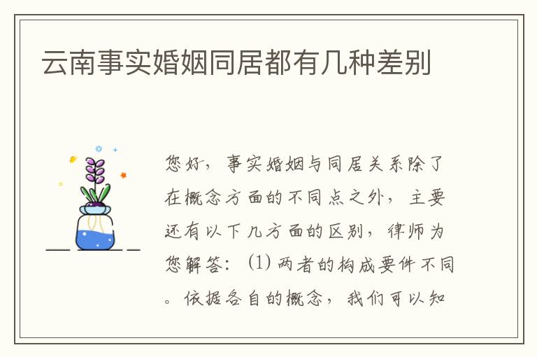 云南事实婚姻同居都有几种差别