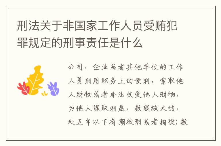 刑法关于非国家工作人员受贿犯罪规定的刑事责任是什么