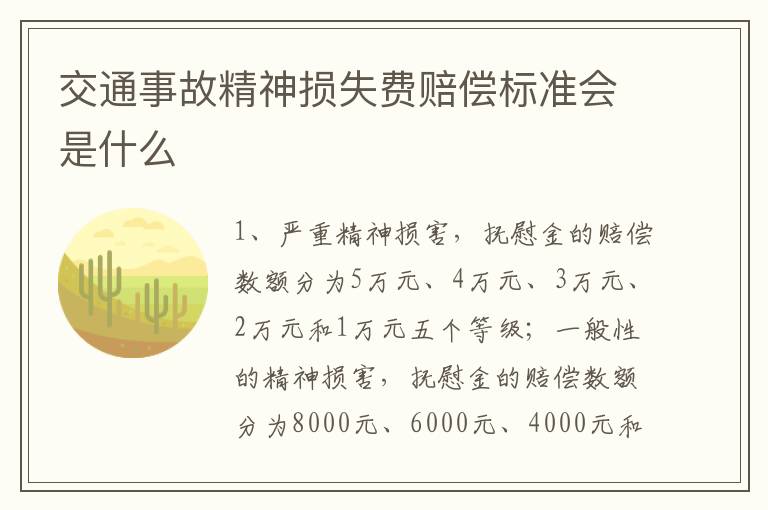 交通事故精神损失费赔偿标准会是什么