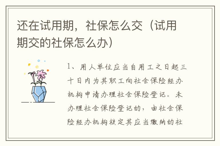 还在试用期，社保怎么交（试用期交的社保怎么办）