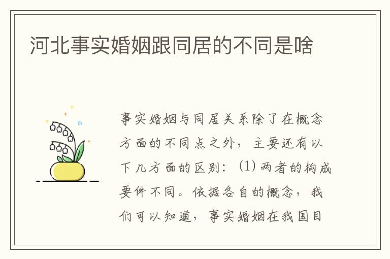 河北事实婚姻跟同居的不同是啥