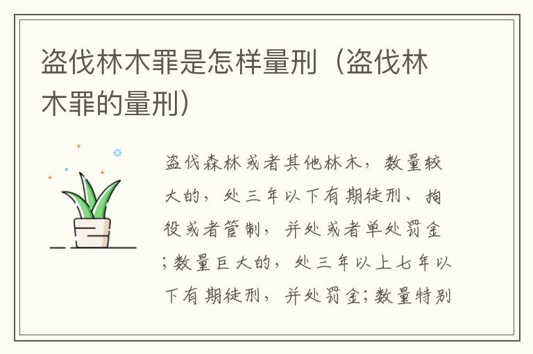 盗伐林木罪是怎样量刑（盗伐林木罪的量刑）