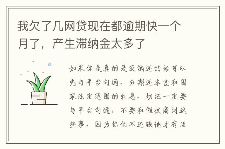 我欠了几网贷现在都逾期快一个月了,产生滞纳金太多了