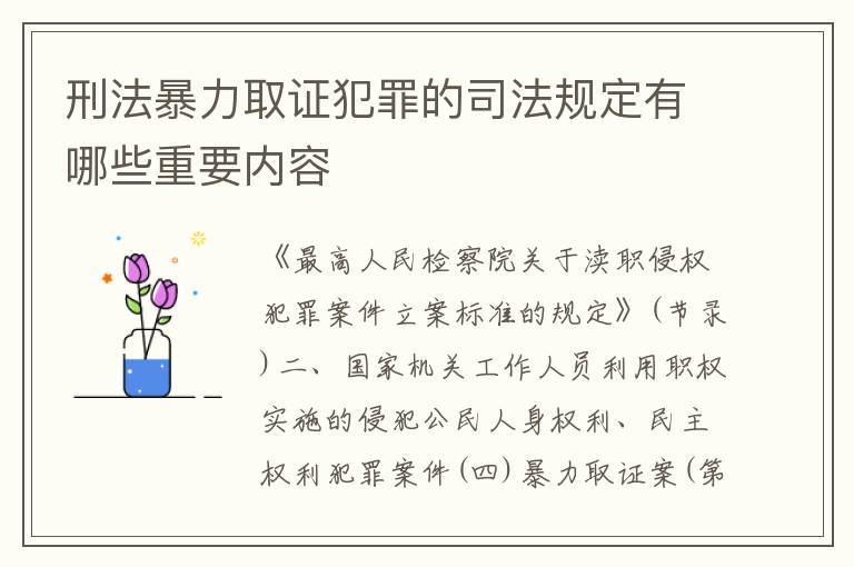 刑法暴力取证犯罪的司法规定有哪些重要内容