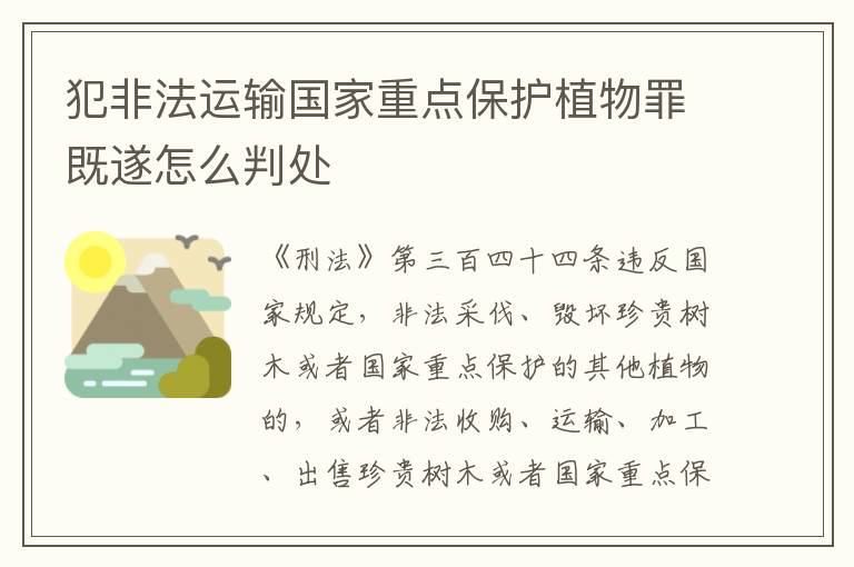 犯非法运输国家重点保护植物罪既遂怎么判处