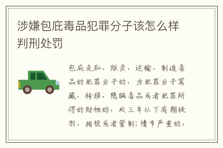 涉嫌包庇毒品犯罪分子该怎么样判刑处罚
