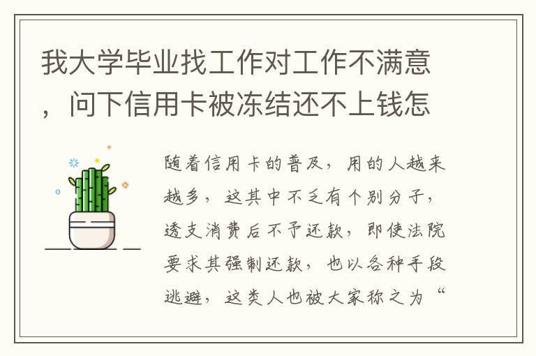 我大学毕业找工作对工作不满意,问下信用卡被冻结还不上钱怎么办