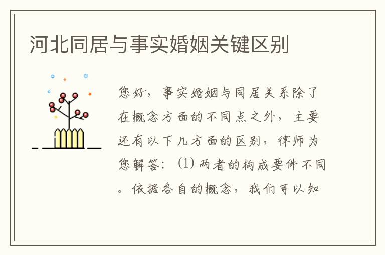 河北同居与事实婚姻关键区别