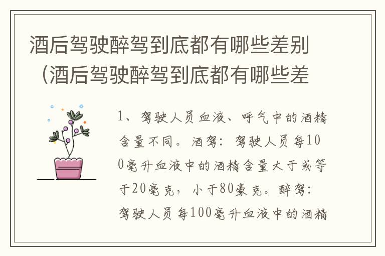 酒后驾驶醉驾到底都有哪些差别（酒后驾驶醉驾到底都有哪些差别呢）