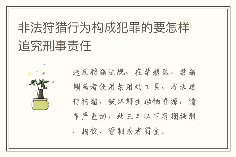 非法狩猎行为构成犯罪的要怎样追究刑事责任