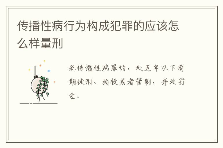 传播性病行为构成犯罪的应该怎么样量刑