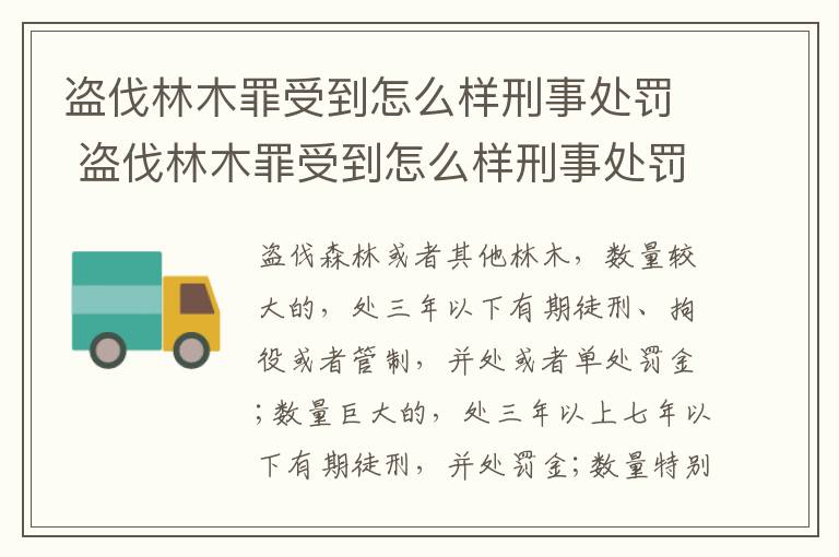 盗伐林木罪受到怎么样刑事处罚 盗伐林木罪受到怎么样刑事处罚呢