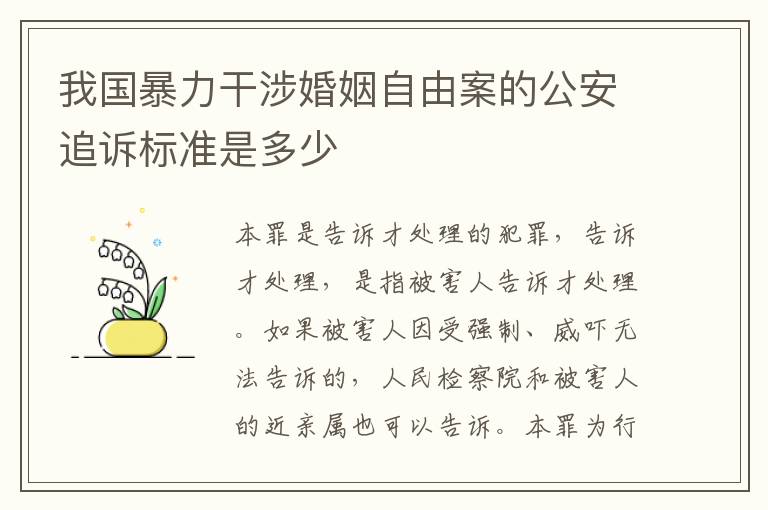 我国暴力干涉婚姻自由案的公安追诉标准是多少