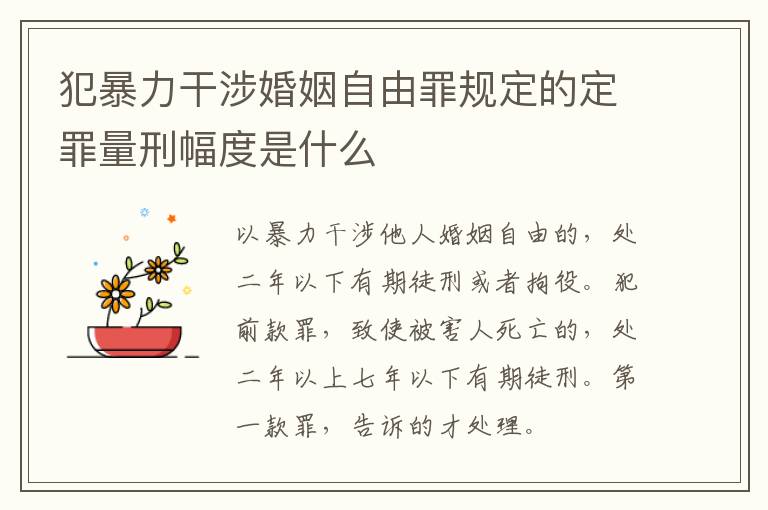 犯暴力干涉婚姻自由罪规定的定罪量刑幅度是什么