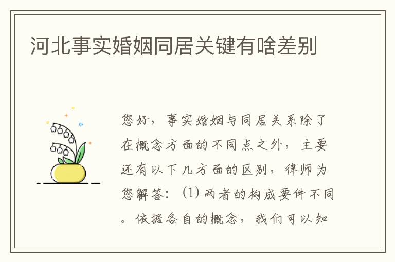 河北事实婚姻同居关键有啥差别