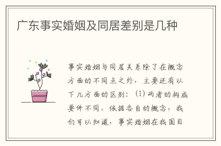 广东事实婚姻及同居差别是几种