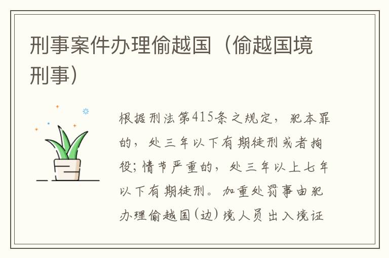 刑事案件办理偷越国（偷越国境刑事）