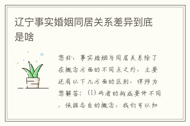 辽宁事实婚姻同居关系差异到底是啥