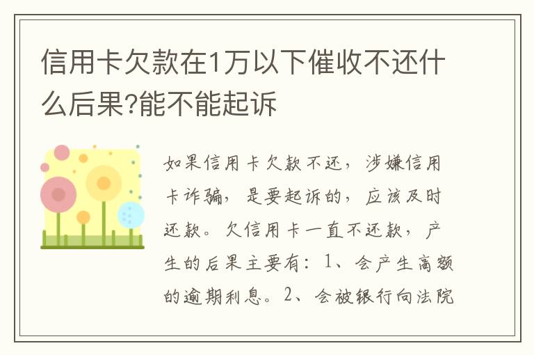 信用卡欠款在1万以下催收不还什么后果?能不能起诉