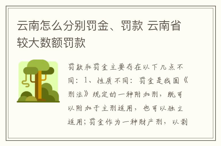 云南怎么分别罚金、罚款 云南省较大数额罚款