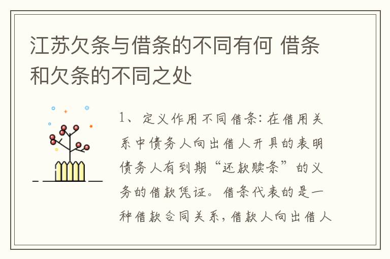 江苏欠条与借条的不同有何 借条和欠条的不同之处