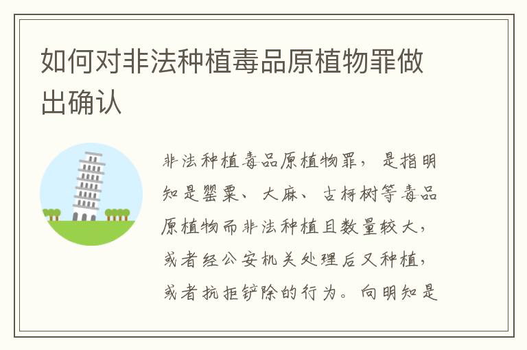如何对非法种植毒品原植物罪做出确认