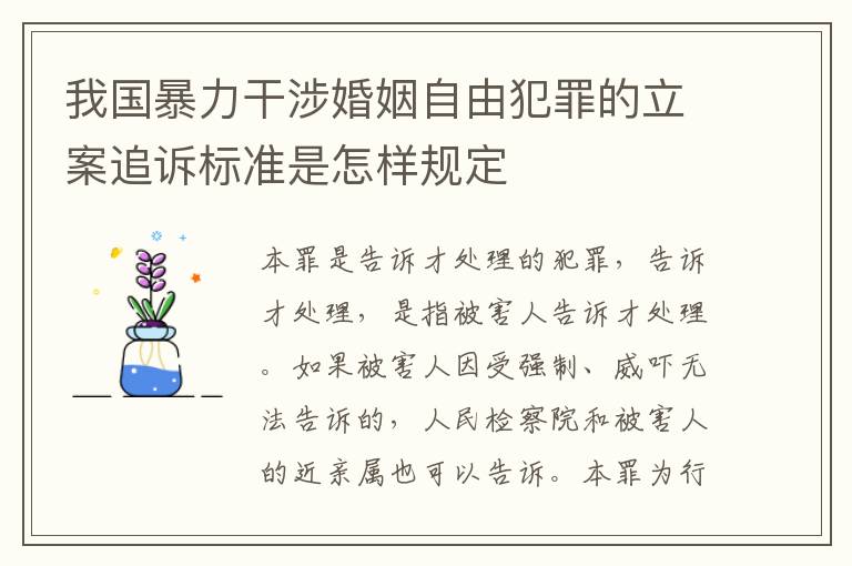 我国暴力干涉婚姻自由犯罪的立案追诉标准是怎样规定