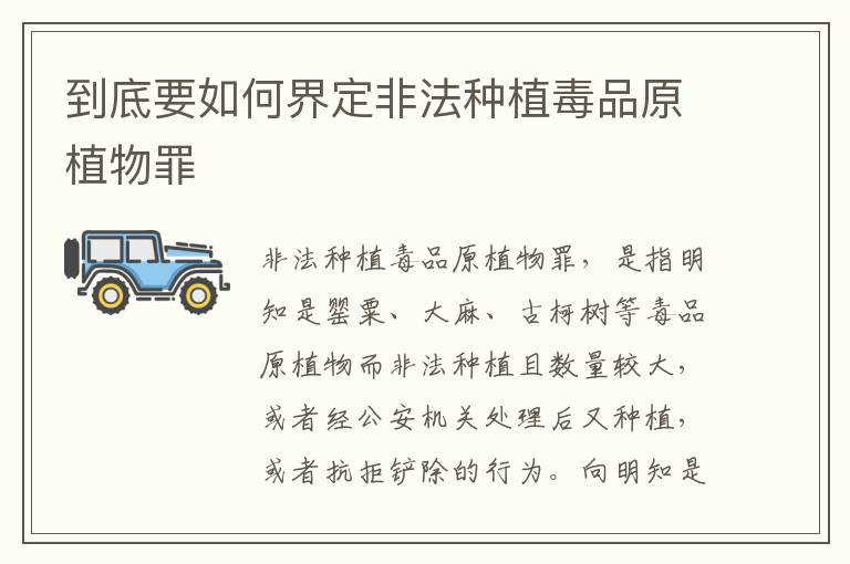 到底要如何界定非法种植毒品原植物罪