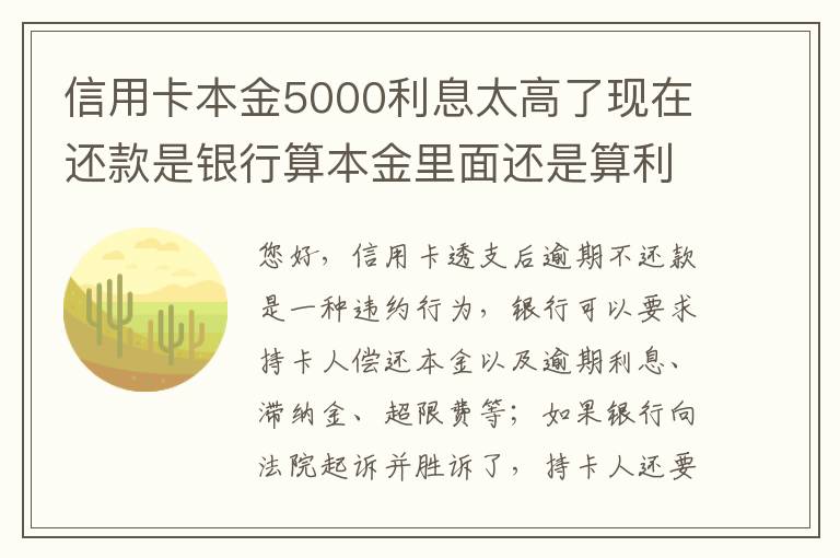 信用卡本金5000利息太高了现在还款是银行算本金里面还是算利息里面