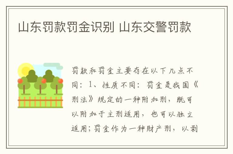 山东罚款罚金识别 山东交警罚款
