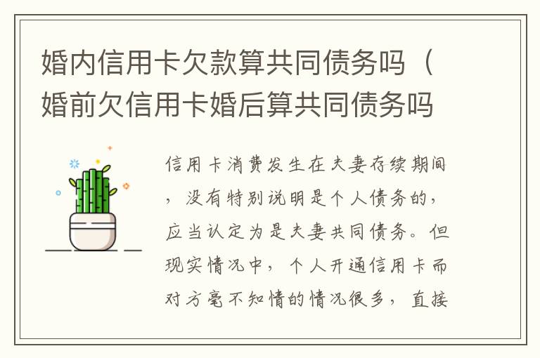 婚内信用卡欠款算共同债务吗(婚前欠信用卡婚后算共同债务吗)