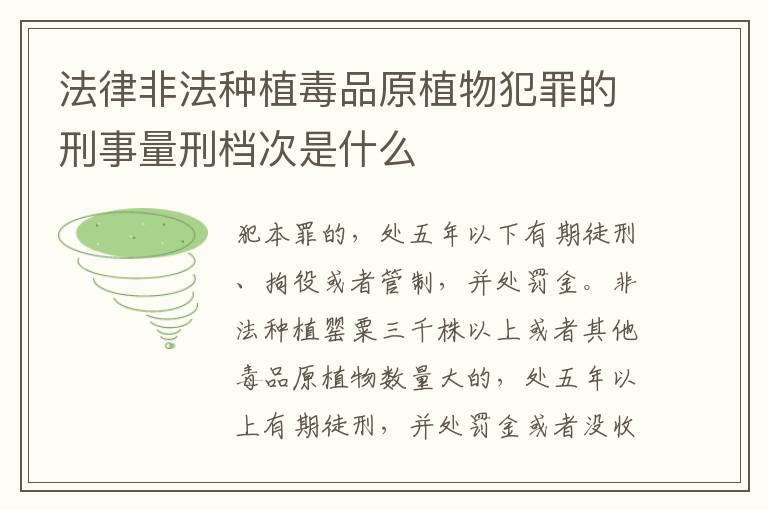 法律非法种植毒品原植物犯罪的刑事量刑档次是什么