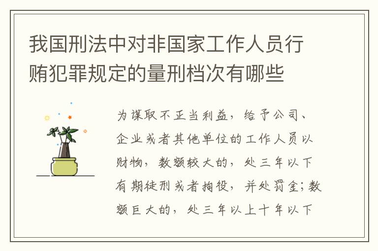我国刑法中对非国家工作人员行贿犯罪规定的量刑档次有哪些