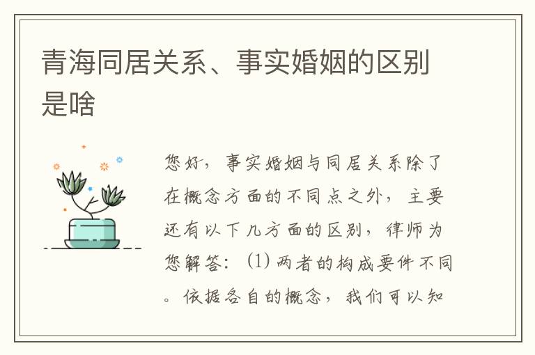 青海同居关系、事实婚姻的区别是啥