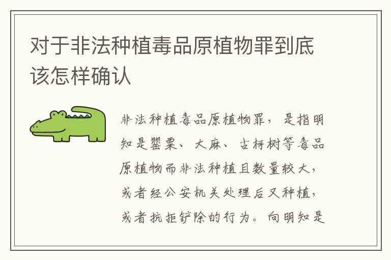 对于非法种植毒品原植物罪到底该怎样确认