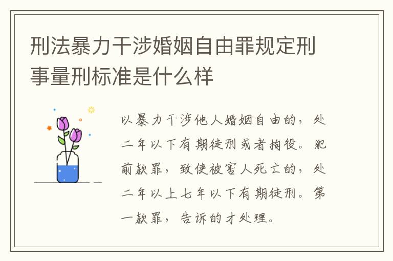 刑法暴力干涉婚姻自由罪规定刑事量刑标准是什么样