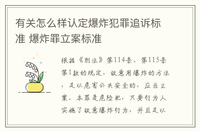 有关怎么样认定爆炸犯罪追诉标准 爆炸罪立案标准