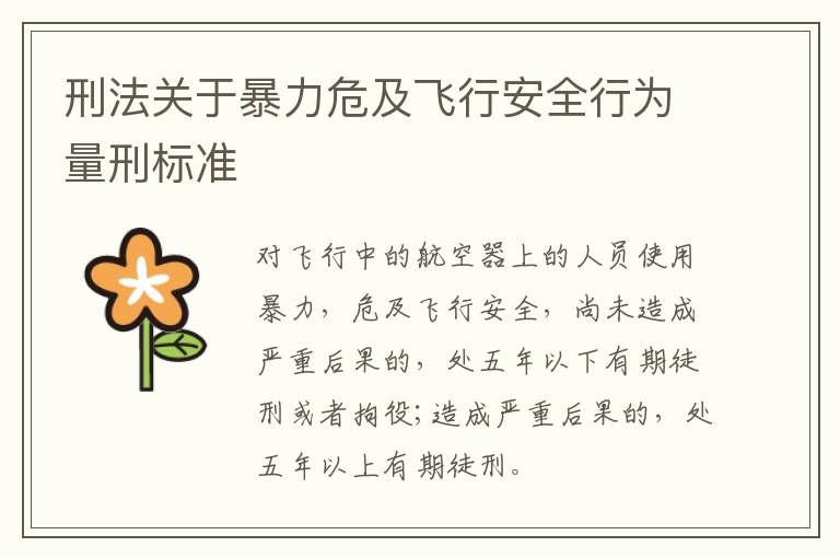 刑法关于暴力危及飞行安全行为量刑标准