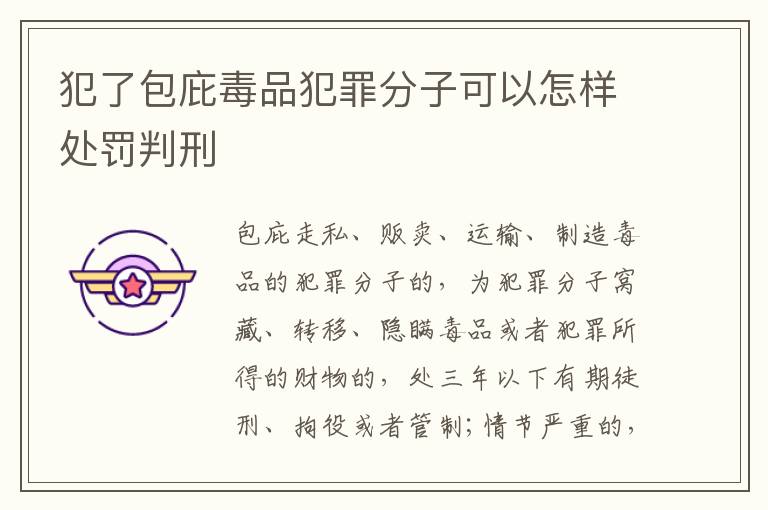 犯了包庇毒品犯罪分子可以怎样处罚判刑