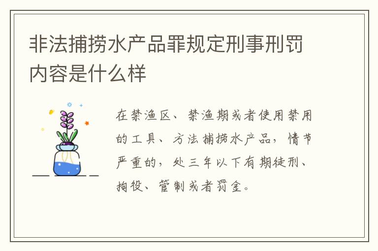 非法捕捞水产品罪规定刑事刑罚内容是什么样