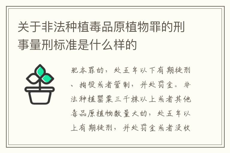 关于非法种植毒品原植物罪的刑事量刑标准是什么样的