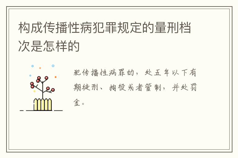 构成传播性病犯罪规定的量刑档次是怎样的