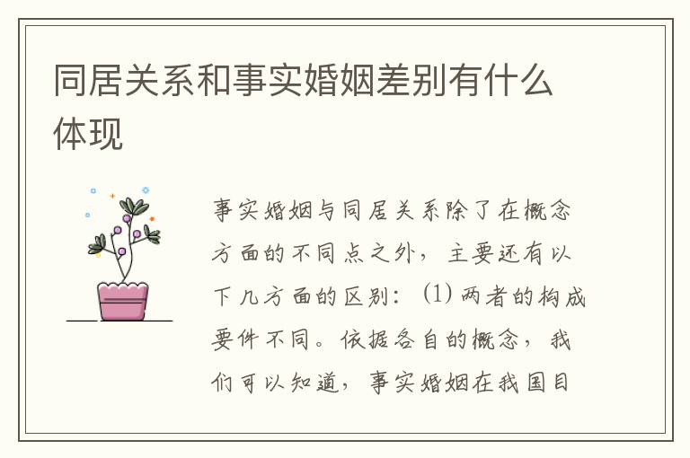 同居关系和事实婚姻差别有什么体现