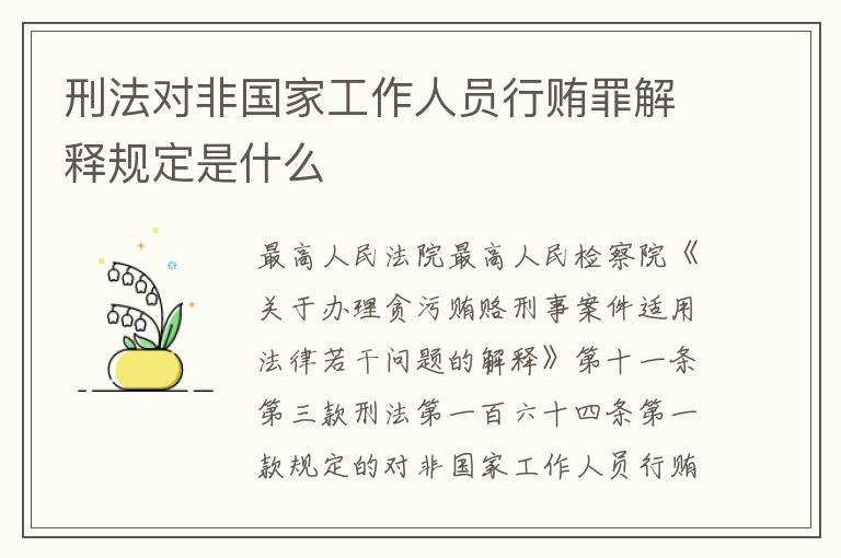 刑法对非国家工作人员行贿罪解释规定是什么