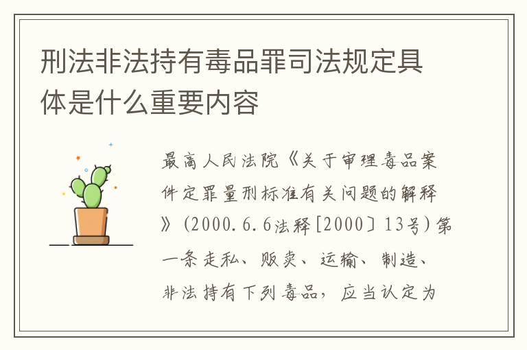 刑法非法持有毒品罪司法规定具体是什么重要内容