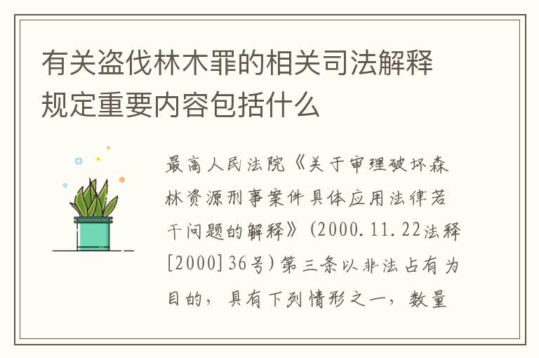 有关盗伐林木罪的相关司法解释规定重要内容包括什么