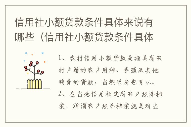 信用社小额贷款条件具体来说有哪些（信用社小额贷款条件具体来说有哪些问题）