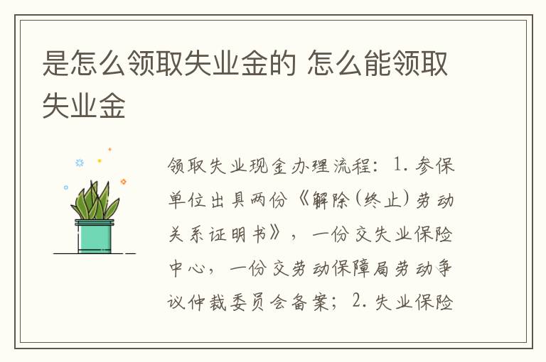 是怎么领取失业金的 怎么能领取失业金
